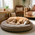Cloudstep Orthopedic Dog Bed – Memory Foam Support for Aging Joints