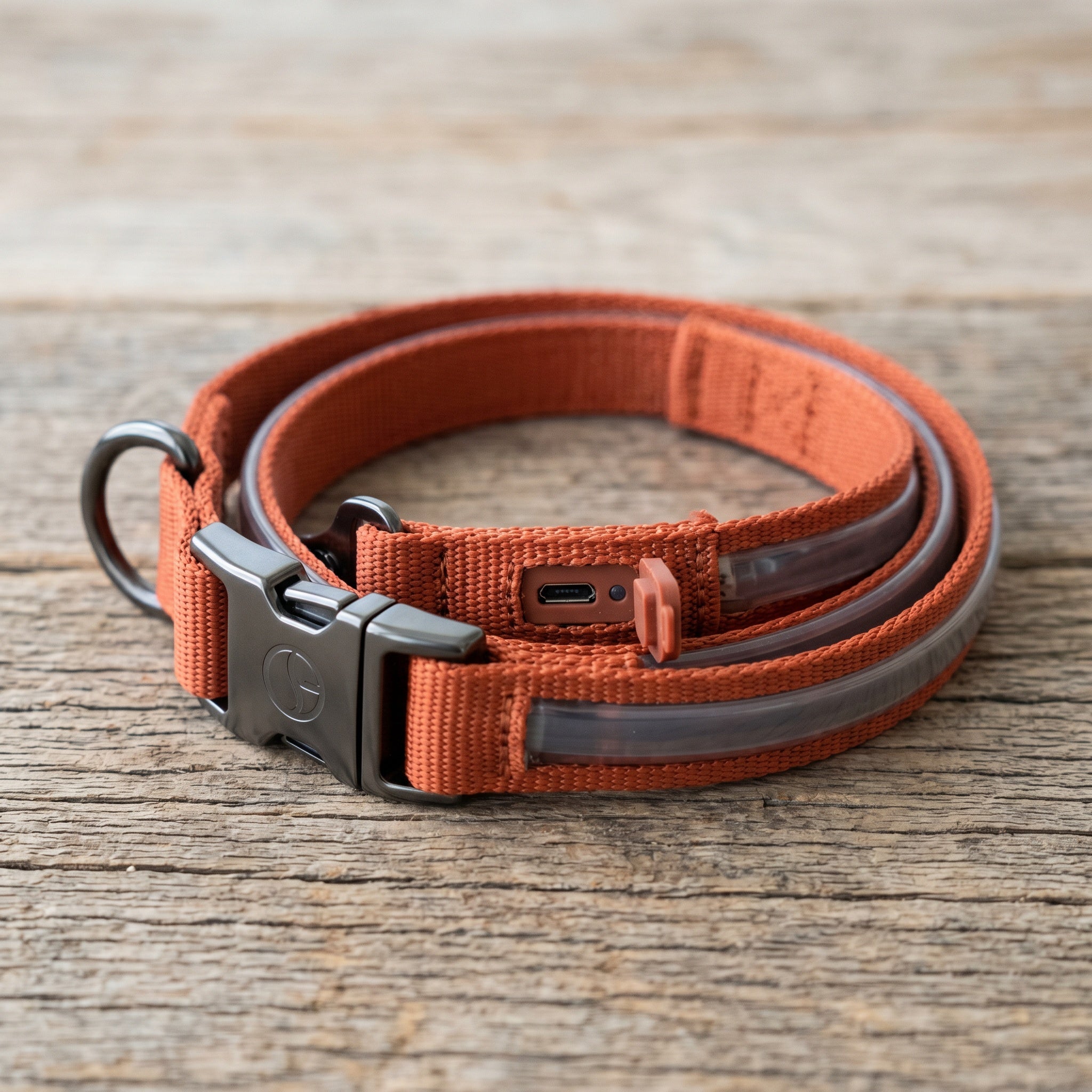 Glowpath LED Safety Collar – Rechargeable Light-Up Visibility Collar