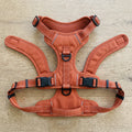 Easytrail Adjustable Harness – Escape-Resistant Everyday Walking Harness