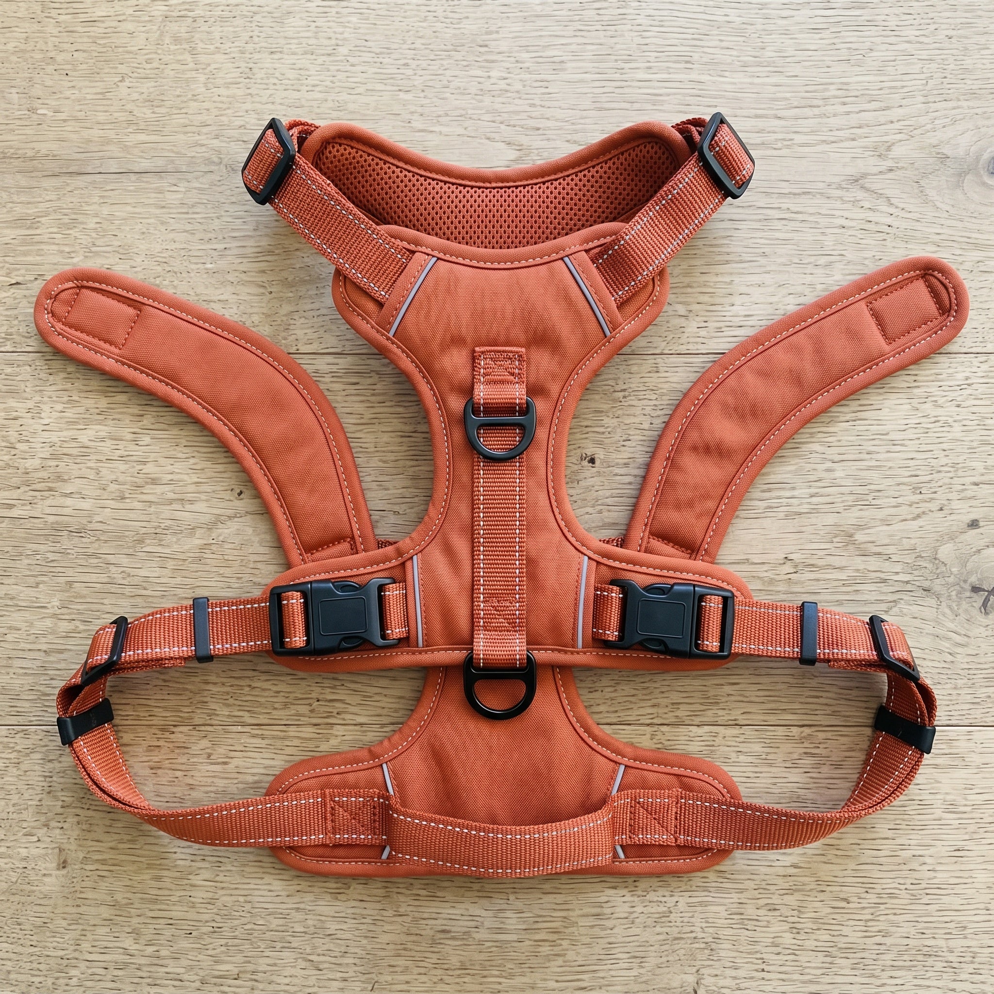 Easytrail Adjustable Harness – Escape-Resistant Everyday Walking Harness
